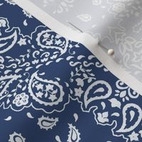 Blue bandana style paisley