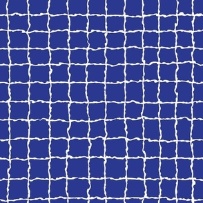 Wavy Grid in White on Blue