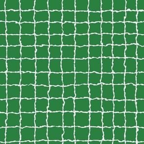 Wavy Grid in White on Green
