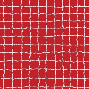 Wavy Grid in White on Red