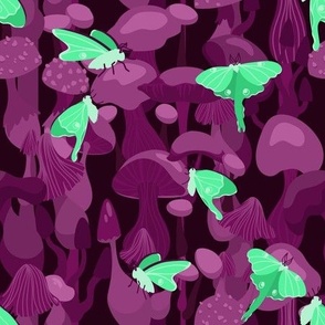 Lunar Moths and Purple Mushrooms