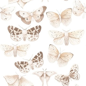 Neutral Moths and Butterflies