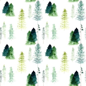 evergreen forest wallpaper