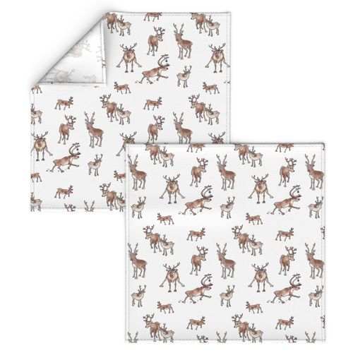 MEDIUM - Rudolphs best life - Reindeer on white