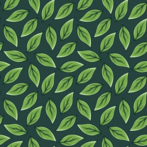 Eucalyptus Leaves