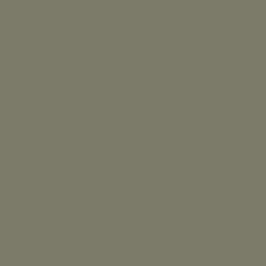 Ginko Leaves Boho coordinate gray green  #7c7b67  