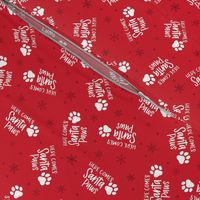 Santa Paws - Red, Small Scale