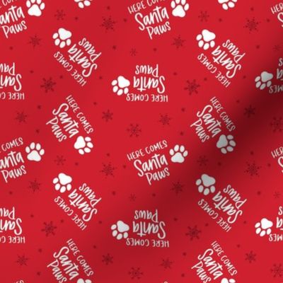 Santa Paws - Red, Small Scale