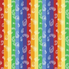 rainbow paisley stripes