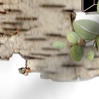 unexpected-still-life-conch-vase-eucalyptus-casita-lemons-orchid-on-birchbark-sfrotate