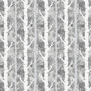 Silver Birch - Grey - Small Scale