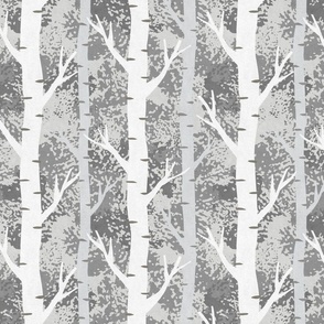 Silver Birch - Grey - Medium  Scale