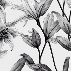 Floral pattern - Lilies