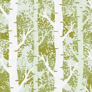 Silver Birch - Olive - Large Scale