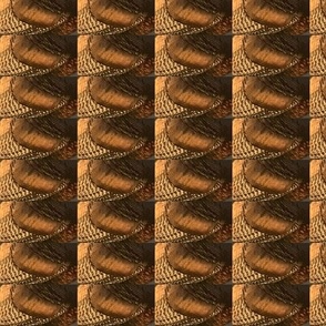 TLV WILD TURKEY FEATHER ABSTRACT 301-BASIC