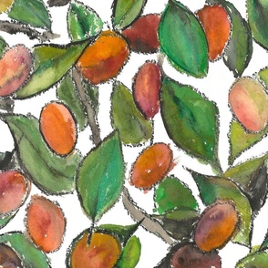 Plum_ Prunus domestica_watercolor_Size M