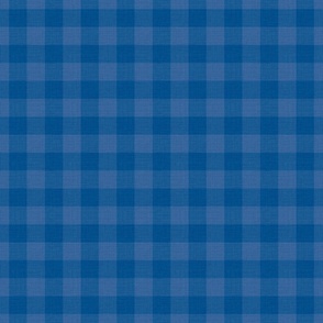 Blue Checks Coordinate | Linen Texture | Jumbo Scale ©designsbyroochita
