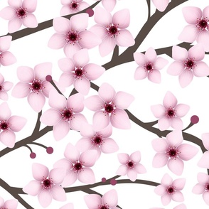 Cherry Blossom Pattern - Large Scale