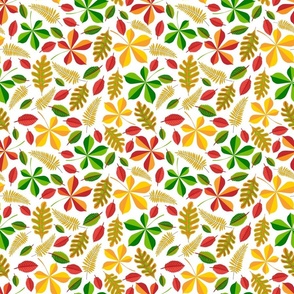 Different colourful autumn leaves, white background.