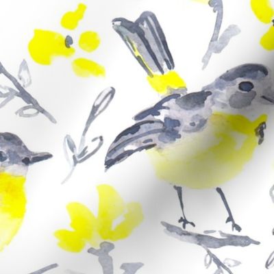 yellow grey birds