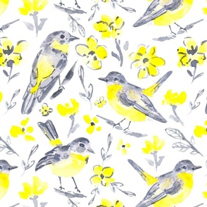 yellow grey birds