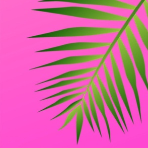 Plethora of Palm Leaves 15 on a Pink Gradient