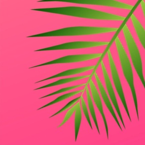 Plethora of Palm Leaves 11 on a Magenta Gradient Background