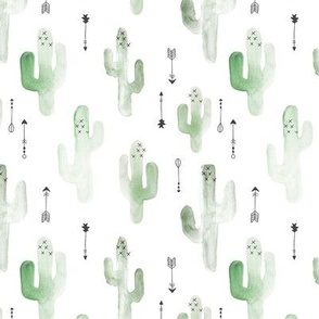 Watercolors cactus garden boho indian summer texas ranch desert plants arrows green 