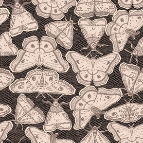 Magical moth pattern in warm dark autumn colors