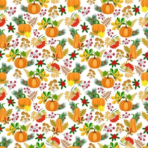 Orange pumpkins, berries, acorns, rowan, mushrooms, colourful autumn leaves, white background.