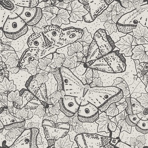 Black and white tattoo art moths or butterflies