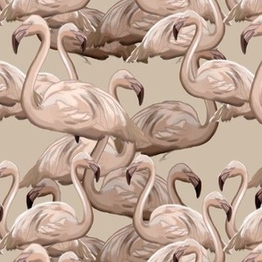 Neutral Flamingos
