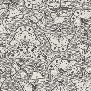 Black and white insect pattern