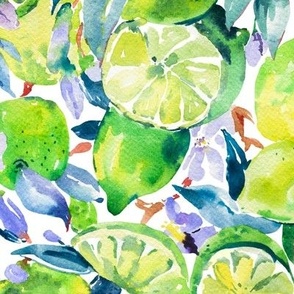 Summer Lemon Limes on White