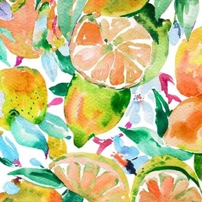 Summer citrus fruits on white