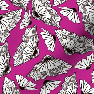 Deco Daisy - Magenta 