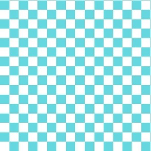 Checkered - Aquamarine Blue And White