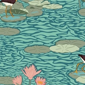 Medium Jacana Lily Trotter Birds walking in a Water Lily Pond with a Whaling Waters Teal Blue Background