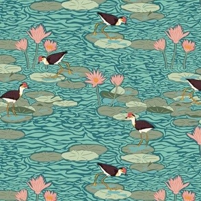 Small Jacana Lily Trotter Birds walking in a Water Lily Pond with a Whaling Waters Teal Blue Background