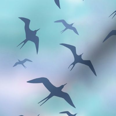 Iwa Birds-new 2022