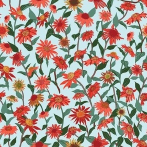 Cone Flowers Pop Color mint red 