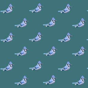 Small Blue Jays Quilting - on Vine Ivy Green
