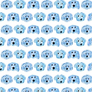 Shaggy Dogs in Shades of Blue