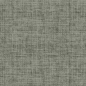 Evergreen Fog Linen Texture - Large Scale - 96998c Green Gray 