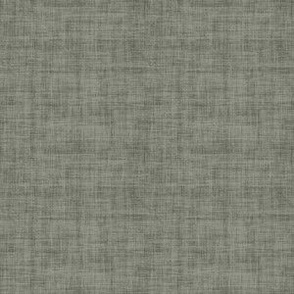 Evergreen Fog Linen Texture - Small Scale - 96998c Green Gray 