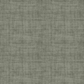 Evergreen Fog Linen Texture - Medium Scale - 96998c Green Gray 