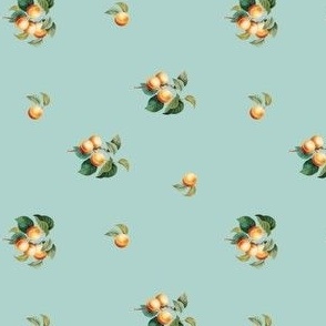 Apricots Duckegg ROTATED // small