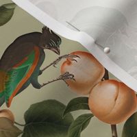 vintage tropical antique exotic toucan birds, green Leaves and  nostalgic colorful exotic figs and orange fruits, toucan bird, - sepia sage