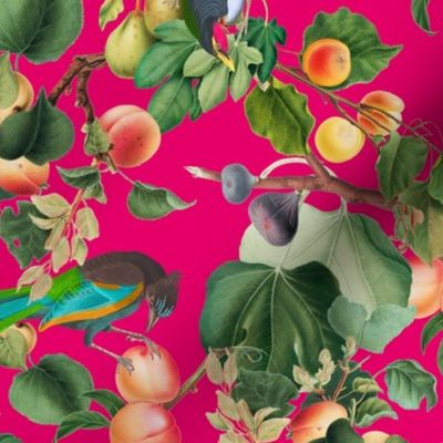 vintage tropical antique exotic toucan birds, green Leaves and  nostalgic colorful exotic figs and orange fruits, toucan bird, - magenta  