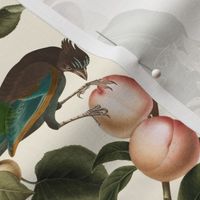 vintage tropical antique exotic toucan birds, green Leaves and  nostalgic colorful exotic figs and orange fruits, toucan bird, - sepia cream